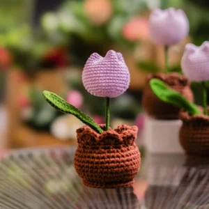 crochet flowe pot, Home decore